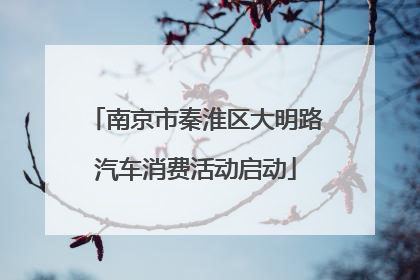 南京市秦淮区大明路汽车消费活动启动