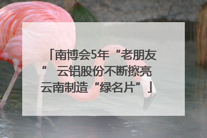 南博会5年“老朋友” 云铝股份不断擦亮云南制造“绿名片”