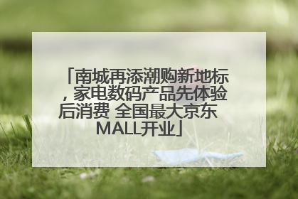 南城再添潮购新地标，家电数码产品先体验后消费 全国最大京东MALL开业