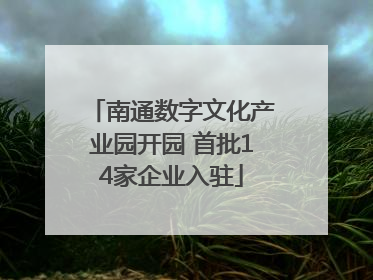 南通数字文化产业园开园 首批14家企业入驻