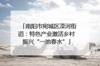 南阳市宛城区溧河街道：特色产业激活乡村振兴“一池春水”