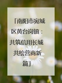 南阳市宛城区黄台岗镇：共筑信用长城 共绘营商新篇