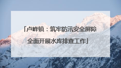 卢峰镇：筑牢防汛安全屏障 全面开展水库排查工作