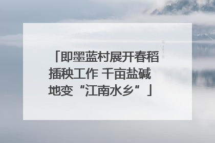 即墨蓝村展开春稻插秧工作 千亩盐碱地变“江南水乡”