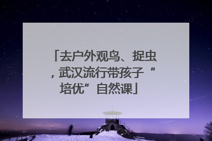 去户外观鸟、捉虫，武汉流行带孩子“培优”自然课
