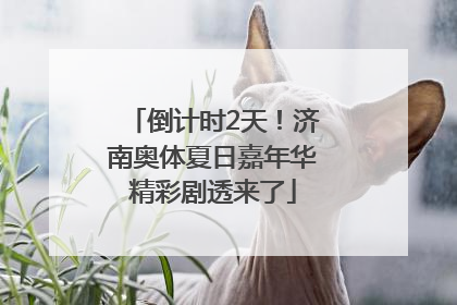 倒计时2天！济南奥体夏日嘉年华精彩剧透来了
