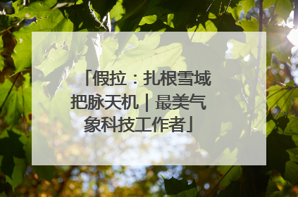 假拉：扎根雪域把脉天机｜最美气象科技工作者