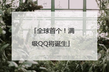 全球首个！满级QQ将诞生