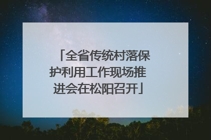 全省传统村落保护利用工作现场推进会在松阳召开