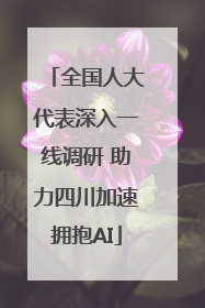 全国人大代表深入一线调研 助力四川加速拥抱AI