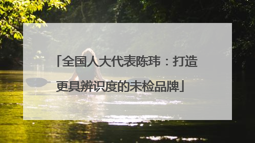 全国人大代表陈玮：打造更具辨识度的未检品牌