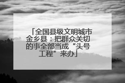 全国县级文明城市金乡县：把群众关切的事全部当成“头号工程”来办