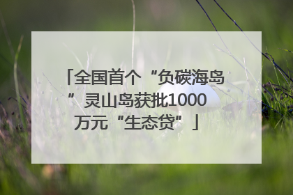 全国首个“负碳海岛”灵山岛获批1000万元“生态贷”