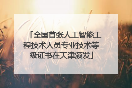 全国首张人工智能工程技术人员专业技术等级证书在天津颁发