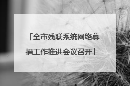 全市残联系统网络募捐工作推进会议召开
