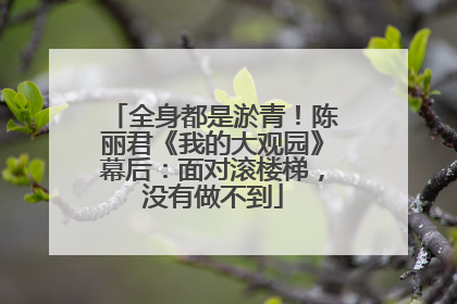 全身都是淤青！陈丽君《我的大观园》幕后：面对滚楼梯，没有做不到