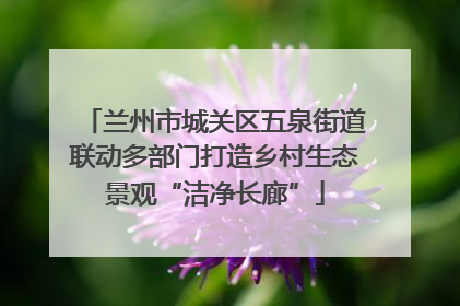 兰州市城关区五泉街道联动多部门打造乡村生态景观“洁净长廊”