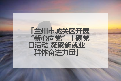 兰州市城关区开展“新心向党”主题党日活动 凝聚新就业群体奋进力量