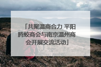 共聚温商合力 平阳腾蛟商会与南京温州商会开展交流活动
