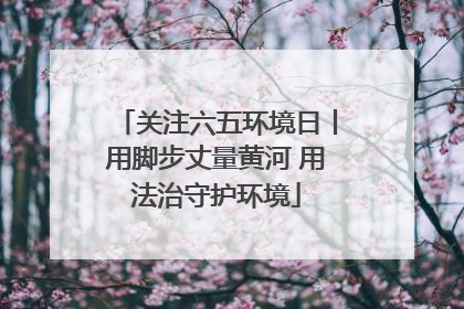 关注六五环境日丨用脚步丈量黄河 用法治守护环境