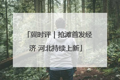 冀时评｜抢滩首发经济 河北持续上新