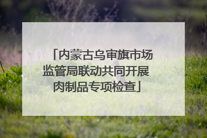 内蒙古乌审旗市场监管局联动共同开展肉制品专项检查