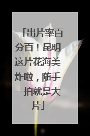 出片率百分百！昆明这片花海美炸啦，随手一拍就是大片