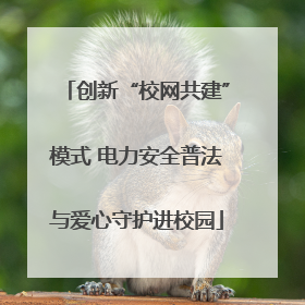 创新“校网共建”模式 电力安全普法与爱心守护进校园