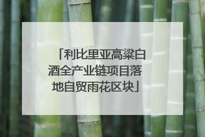 利比里亚高粱白酒全产业链项目落地自贸雨花区块