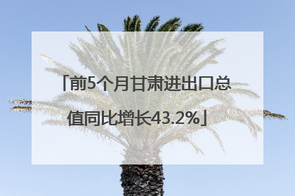 前5个月甘肃进出口总值同比增长43.2%