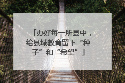 办好每一所县中，给县域教育留下“种子”和“希望”