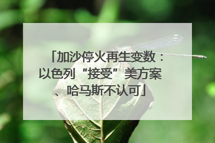加沙停火再生变数：以色列“接受”美方案、哈马斯不认可