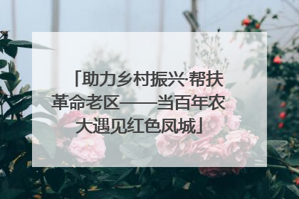 助力乡村振兴·帮扶革命老区——当百年农大遇见红色凤城