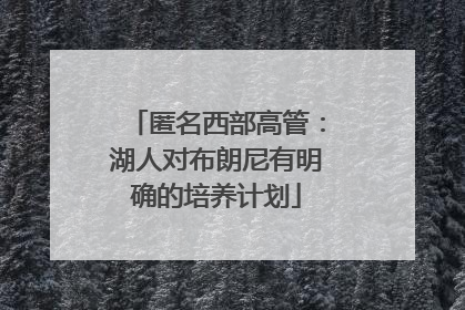 匿名西部高管：湖人对布朗尼有明确的培养计划
