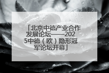 北京中德产业合作发展论坛——2025中德（欧）隐形冠军论坛开幕