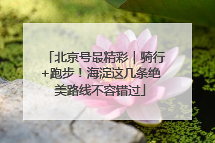 北京号最精彩｜骑行+跑步！海淀这几条绝美路线不容错过