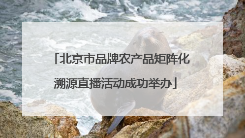 北京市品牌农产品矩阵化溯源直播活动成功举办