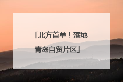 北方首单！落地青岛自贸片区