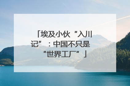 埃及小伙“入川记”：中国不只是“世界工厂”