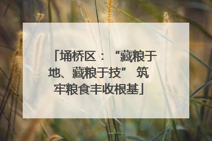 埇桥区：“藏粮于地、藏粮于技” 筑牢粮食丰收根基