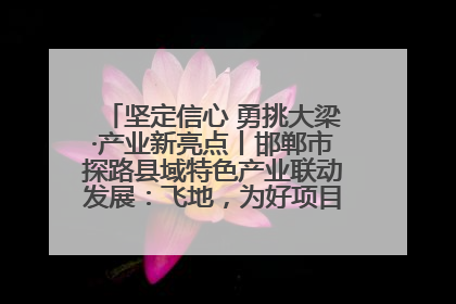 坚定信心 勇挑大梁·产业新亮点丨邯郸市探路县域特色产业联动发展：飞地，为好项目跨域安个家