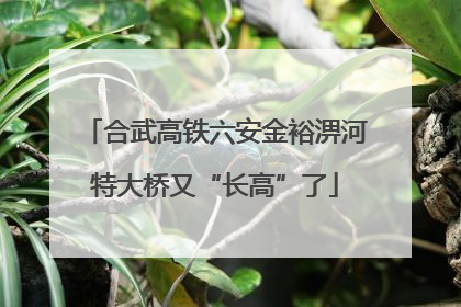 合武高铁六安金裕淠河特大桥又“长高”了