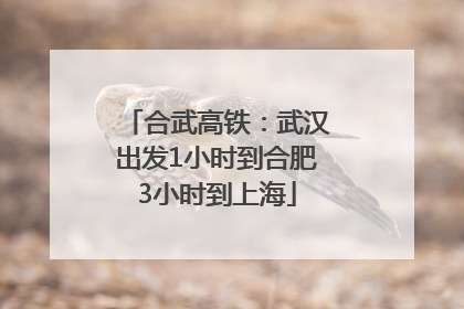 合武高铁：武汉出发1小时到合肥3小时到上海