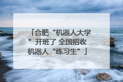 合肥“机器人大学”开班了 全国招收机器人“练习生”