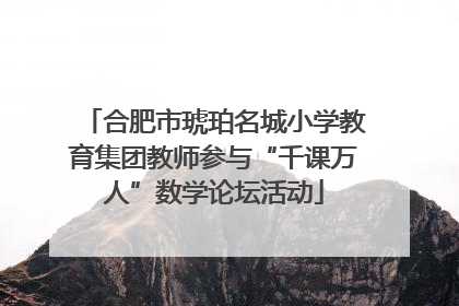 合肥市琥珀名城小学教育集团教师参与“千课万人”数学论坛活动