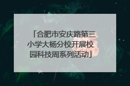 合肥市安庆路第三小学大杨分校开展校园科技周系列活动