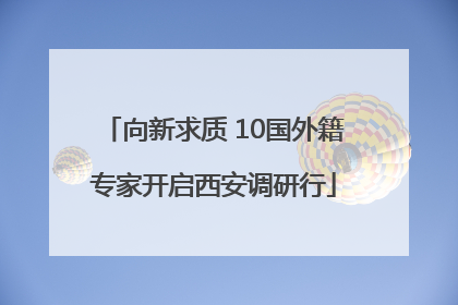 向新求质 10国外籍专家开启西安调研行