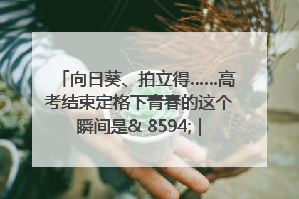 向日葵、拍立得……高考结束定格下青春的这个瞬间是& 8594;｜2025四川高考