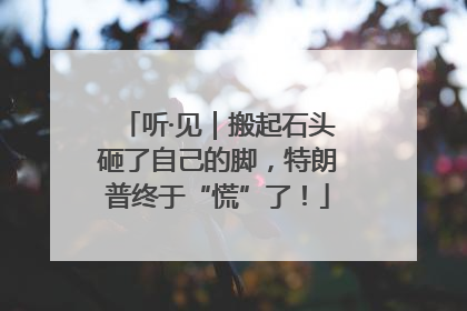 听·见｜搬起石头砸了自己的脚，特朗普终于“慌”了！
