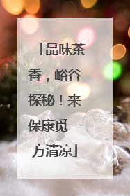 品味茶香，峪谷探秘！来保康觅一方清凉